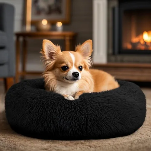 Vista 5 de Hoewina - Cama redonda, calmante, en forma de rosquilla, lavable, esponjosa para interiores, perros y gatos pequeños y medianos, negro, 20 pulgadas