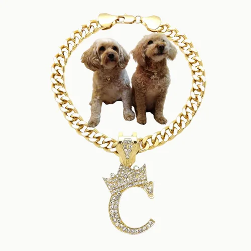 Vista 51 de Collar de cadena con letra inicial cubana para perro, collar de cadena para mascotas, gato, collar para cachorro (S, 25 cm)