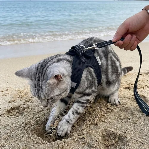 Vista 7 de Heywean Arnés y correa para gatos a prueba de escape, suave malla transpirable chaleco para caminar para gatitos, juego de arnés ajustable con tira