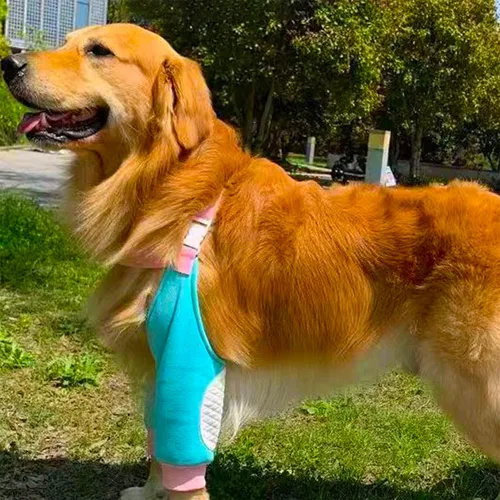 Vista 6 de Coderas para perros, rodilleras, coderas y callos para heridas, patas delanteras para dejar de lamer, perros medianos y grandes, L, color azul
