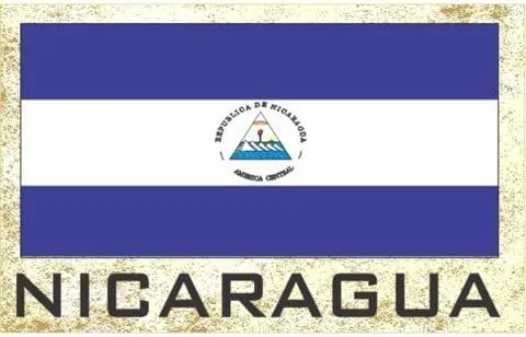 Vista 7 de Imanes para frigorífico con bandera - Americas Grp 2 (paquete de 1, País: Paraguay)