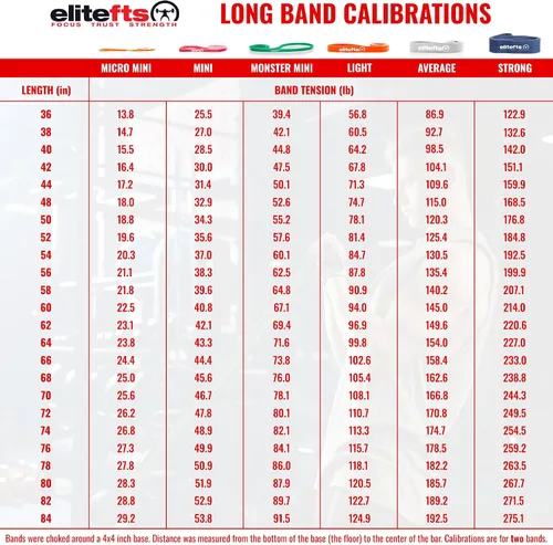 Vista 8 de EliteFTS Pro Resistance Band - Boost Core Stability and Flexibility with This Portable, Joint-Friendly Tool