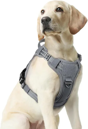 Vista 31 de rabbitgoo - Arnés para perros pequeño sin tirones, chaleco táctico de servicio con Molle y asa de control, arnés militar ajustable y reflectante