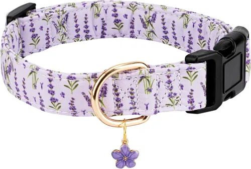 Vista 14 de Collares de perro personalizados, collares ajustables para cachorros con hebilla de seguridad para perros pequeños, medianos y grandes, collar