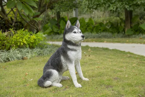 Vista 8 de HI-LINE Gift Ltd. - Husky siberiano grande en blanco y negro sentado
