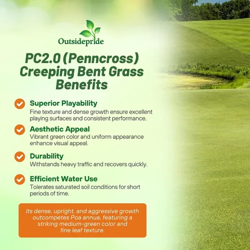 Vista 3 de Outsidepride PC2.0 (Penncross) - Semillas de césped dobladas rastreras – 1 libra de grado de campo de golf premium, densas y resistentes al desgaste