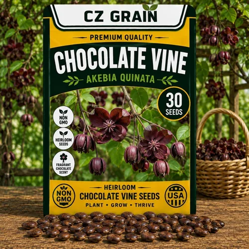 Vista 14 de CZ Grain Semillas para plantar, 40 pequeñas mezclas de calabaza
