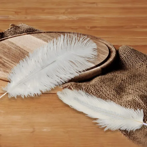 Vista 5 de Kit de plumas de avestruz natural en masa color beige de 15-17 pulgadas (38-43 cm), 80 piezas. Los kits contienen plumas de 8-10 pulgadas y palos