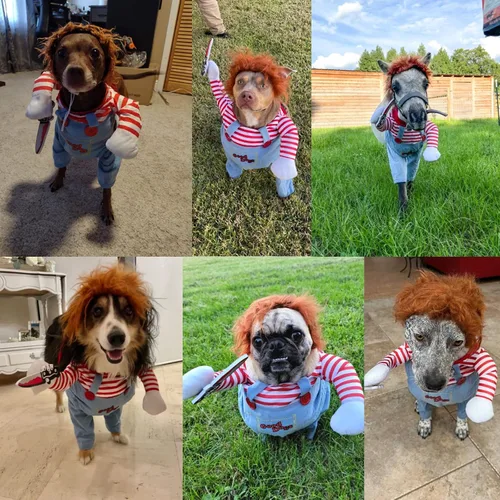 Vista 6 de Disfraz de Halloween para mascotas, disfraz divertido de Halloween, cosplay, ropa linda, ajustable, accesorios de ropa para perros pequeños