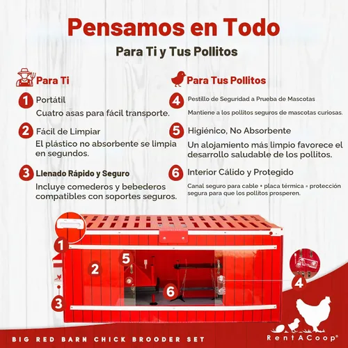 Vista 3 de RentACoop - Juego de criadores de pollitos con placa calefactora