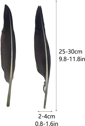 Vista 2 de LWINGFLYER 25 plumas de ganso de 10 a 12 pulgadas de largo para bolígrafos, manualidades, festivales, Halloween, sombreros, decoraciones de Natural