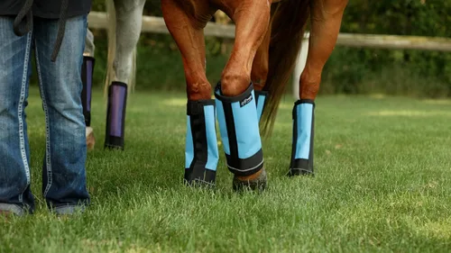 Vista 4 de Botas Warrior Fly (Knight Warrior, Rojo)