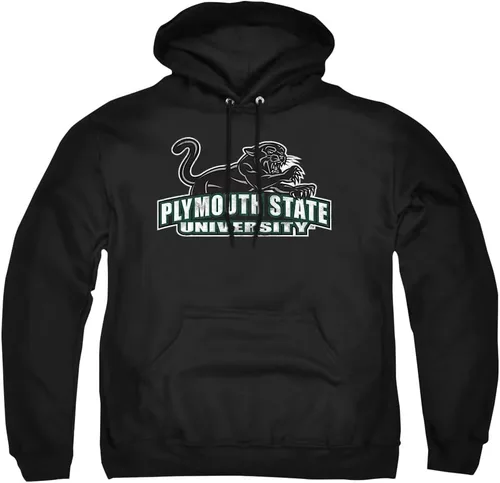 Vista 75 de Distressed College Primary Logo Adult Pullover Hoodie Collection 1 Universidad Estatal de Albany