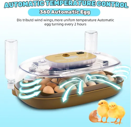 Vista 5 de Ploomi Incubadora de 24 huevos con recarga automática de agua y control de humedad, girador automático de huevos, vela LED integrada, preprogramas