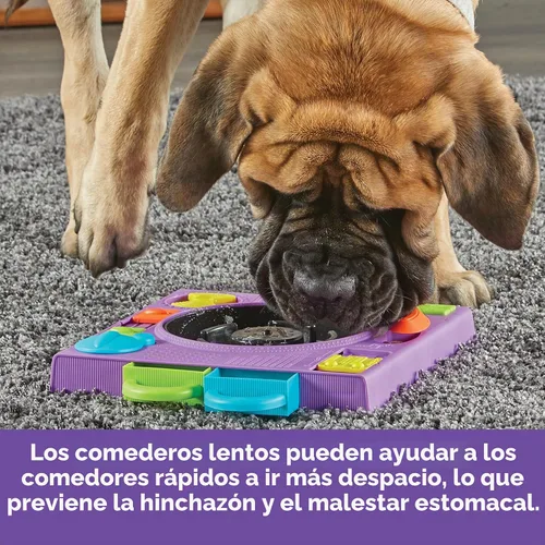 Vista 4 de Learning Resources Brightkins DJ Doggo - Comedero de rompecabezas para perros de alimentación lenta, juguetes de rompecabezas para perros, cuenco