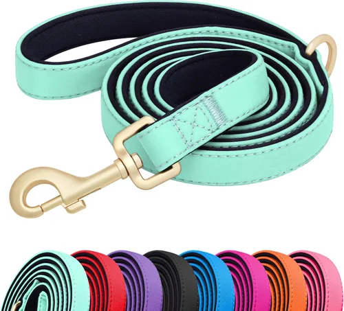 Vista 10 de Didog Correa para perro de nailon colorido de 5 pies con acolchado suave de longitud completa, ligera y duradera para perros pequeños, negro, S