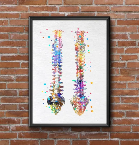 Vista 8 de Dignovel Studios 8X10 sin marco de la columna vertebral humana anatomía ósea médico médico acuarela arte impresión cartel inauguración casa giclée