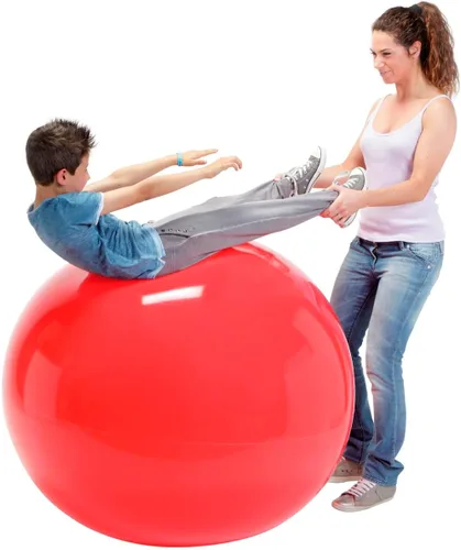 Vista 9 de Gymnic Physio Exercise Ball