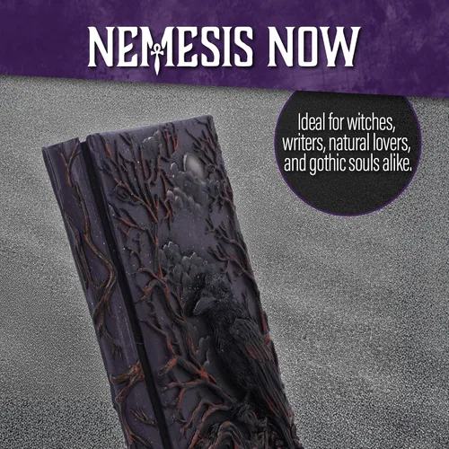 Vista 6 de Nemesis Now Raven's Grimoire Journal
