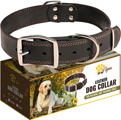 Vista 7 de Collar de perro de cuero negro resistente, collar de perro suave y fuerte para cachorros o razas pequeñas