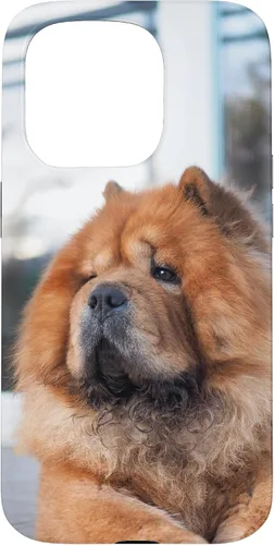 Vista 14 de Funda Chow Chow Chow para iPhone 15 Pro Max
