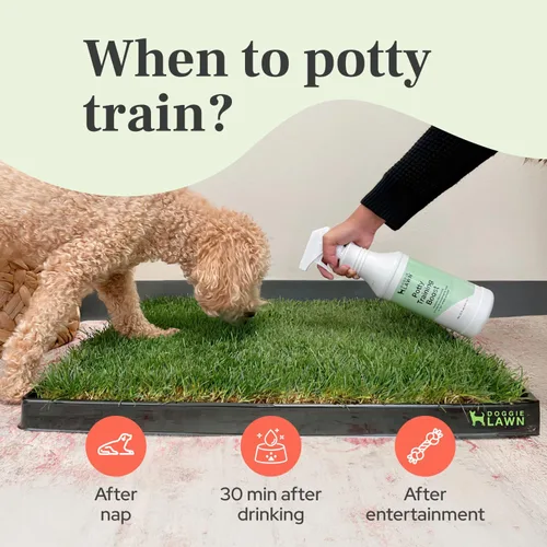 Vista 3 de DoggieLawn Spray de ayuda para el entrenamiento para ir al baño, aroma atractivo que ayuda a entrenar a los perros dónde ir al baño, formulado