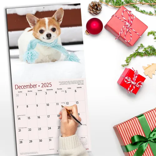 Vista 5 de RED EMBER Chihuahua Puppies 2025 Calendario de pared de 12 meses 12 x 24 pulgadas abierto Papel grueso y resistente Regalo Calendario 2025