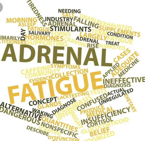 Vista 8 de Miracle Adrenal Essence Doctor's Choice - Suplemento adratogénico de hierbas y vitaminas