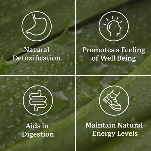 Vista 4 de Nature's Sunshine Estimulador del intestino inferior, ayuda a aliviar el estreñimiento, limpia y desintoxica tu colon con ingredientes herbales