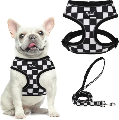 Vista 75 de PUPTECK Juego de arnés y correa de malla suave para perro, cachorro y gato, cómodo chaleco acolchado sin tirones, azul Pascua, S