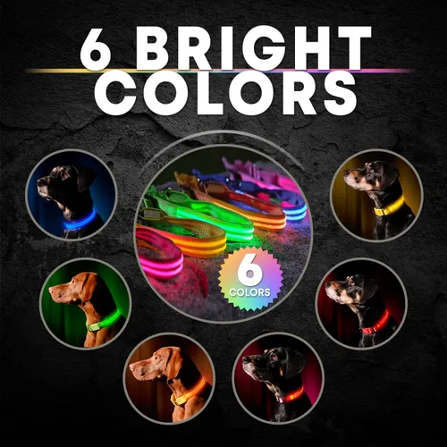 Vista 7 de Collar para perros LED Illumiseen, recargable por USB, Anaranjado encendido