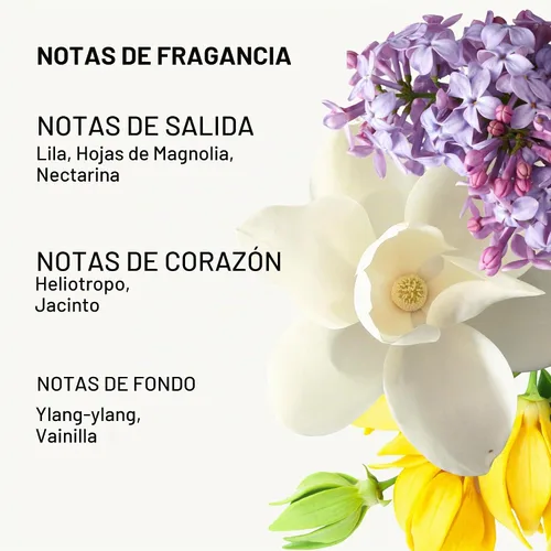 Vista 4 de Pacifica Perfume en aerosol French Lilac – Fragancia floral vegana limpia para mujeres, notas de lila recién cortadas y magnolia en polvo, aroma