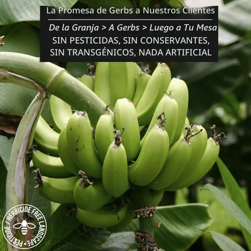 Vista 2 de Frutas secas GERBS, Top 14 libres de alergia alimentaria, sin sulfuro, sin conservantes, sin OMG, vegano