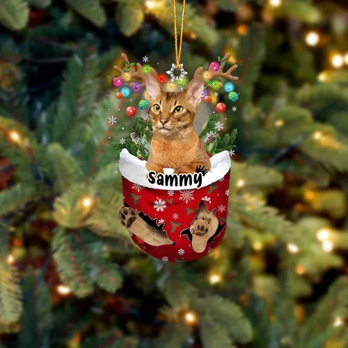 Vista 37 de Adorno personalizado de gato de rizo americano, adorno personalizado con nombre de mascota, colgante acrílico plano impreso en 2D, Papá Noel y gato
