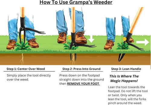 Vista 6 de Grampa's Weeder Herramienta original para arrancar malezas con mango largo