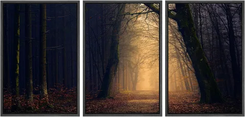 Vista 81 de SIGNWIN Lienzo enmarcado para pared, juego de arte nublado de tormenta, cielo, bosque otoñal, árboles, rústico, naturaleza, fotografía, realismo