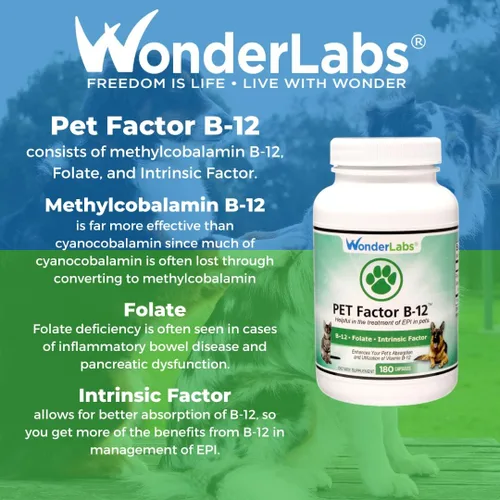 Vista 7 de Wonder Laboratories Pet Factor B-12 Vitamina B-12 en forma de metilcobalamina Popular en el tratamiento de EPI en perros 180 cápsulas