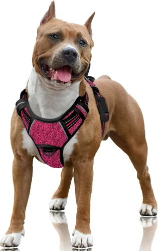 Vista 105 de BARKBAY Arnés para Perro Sin Tirones Talla Grande Arnés Reflectante para Perro con Clip Frontal y Asa de Control Fácil para Caminar Entrenar Correr