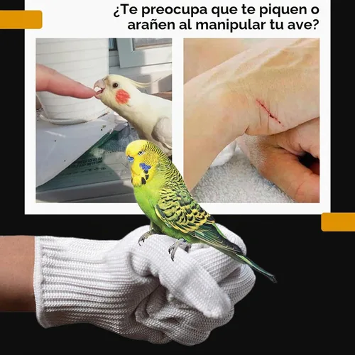 Vista 4 de QBLEEV 1 Pair Bird Handling Anti-Bite Gloves, Small Animal Bite Proof Gloves for Training
