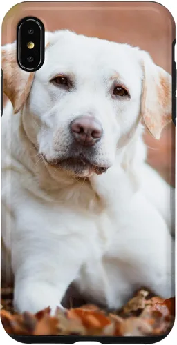 Vista 11 de Labrador Retriever Dog Lover - Carcasa para iPhone 17