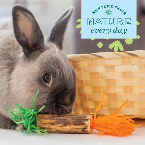 Vista 6 de Oxbow Birthday Party Pack, Rabbit & Guinea Pig Toys, Bunny Enrichment Toys Juguetes para masticar conejos, Enriquecimiento de conejillo de indias