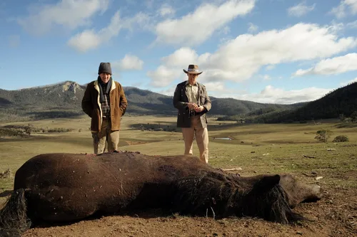 Vista 5 de Red Hill Blu-ray