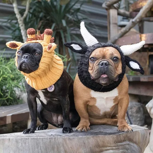 Vista 8 de Zoo Snoods - Disfraz de vaca para perro, disfraz de toro para perros (talla M) Soft knit snood ear warmer with hand-crocheted cow horns and ears