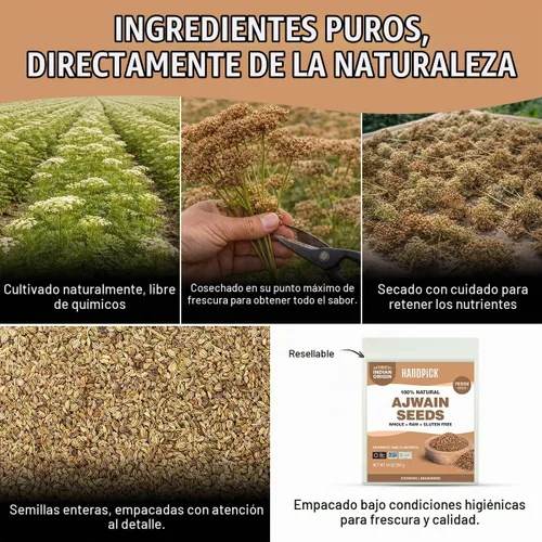 Vista 7 de HANDPICK Ajwain Seeds (14 onzas) Semillas de Carom, Ajwain entero, Obispos Cálido y aromático, sin OMG, sin gluten, procedente de la India