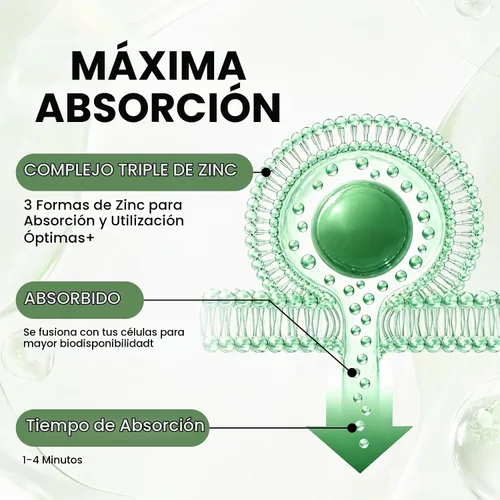 Vista 8 de Salud hepática y gotas de drenaje linfático con cardo mariano y alcachofa