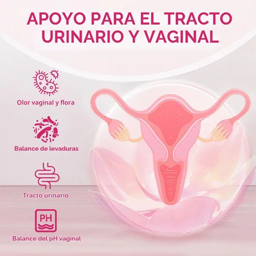 Vista 2 de DVO Probióticos vaginales para mujeres, equilibrio de pH, 60 mil millones de UFC con prebióticos y lactobacilos, olor saludable, equilibrio