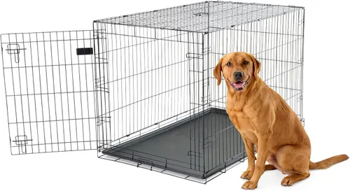 Vista 21 de Jaula de perro Carlson segura y compacta de doble puerta de metal, mediana con panel divisor