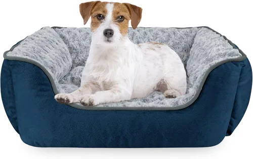 Vista 33 de JOEJOY - Cama rectangular para perros grandes, medianos y pequeños - Cama de sofá ortopédica lavable, suave y transpirable para cachorros