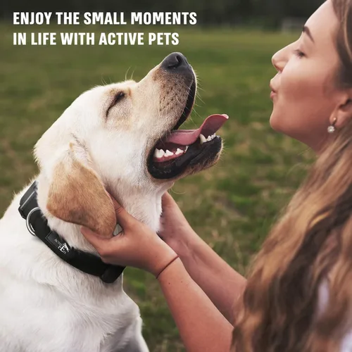 Vista 7 de Active Pets Collar de liberación rápida para perros pequeños y grandes, collar de seguridad ajustable con hebilla segura, comodidad transpirable