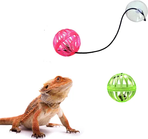 Vista 2 de Paquete de 6 bolas de juguete de dragón barbudo, bola de juguete de lagarto reptil con ventosa y cuerda para dragón barbudo, lagarto, gecko
